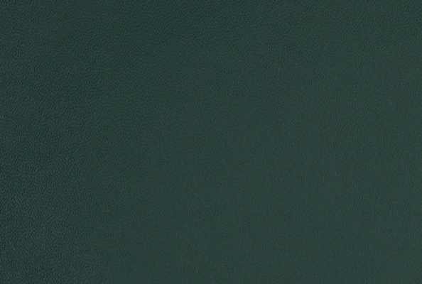 Silk Pine